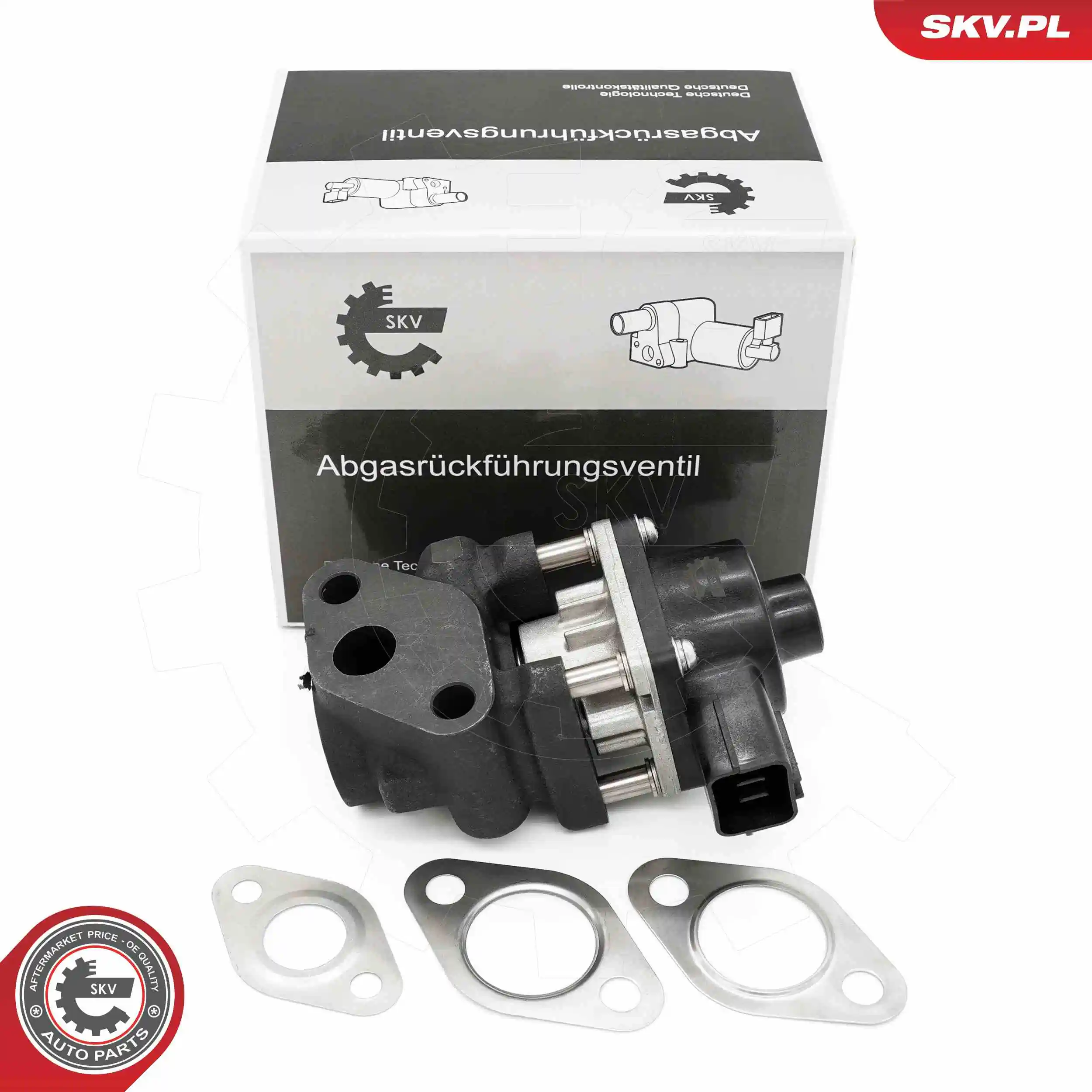 EGR Valve